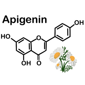 ماذا يفعل Apigenin في الجسم؟